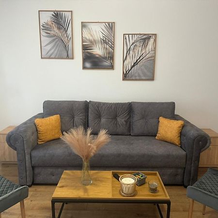 Sfântu-Gheorghe The Future Residence מראה חיצוני תמונה